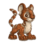 woodland kougra